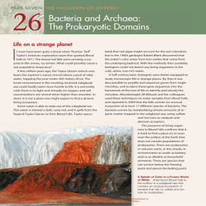 Chapter 26: Bacteria and Archaea: The Prokaryotic Domains