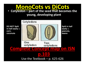 MonoCots vs DiCots