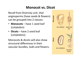 Investigation of Leaf Stomata Lab Answer Key