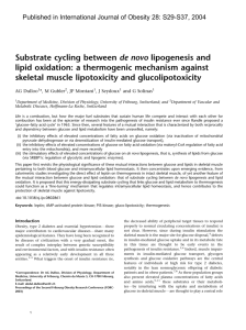 Substrate cycling between de novo lipogenesis and lipid oxidation