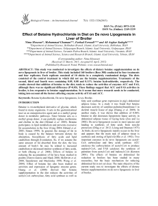Effect of Betaine Hydrochloride in Diet on De novo Lipogenesis in
