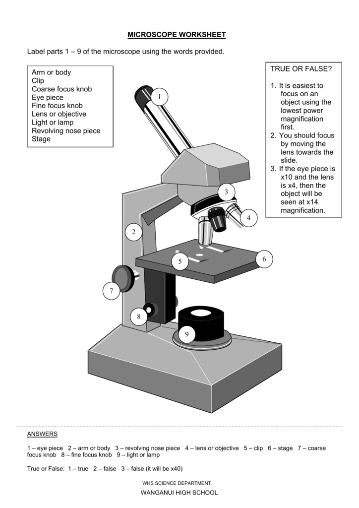 Parts Of A Compound Light Microscope Worksheet Answers Shelly Lighting