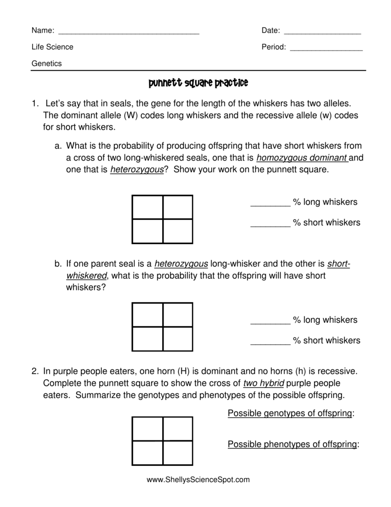 Punnett Square practice