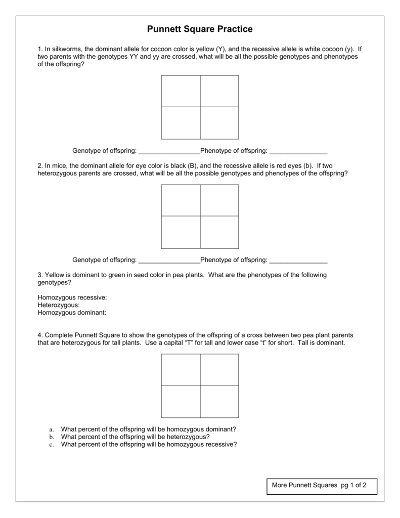 Punnett Square Practice Problems Worksheet