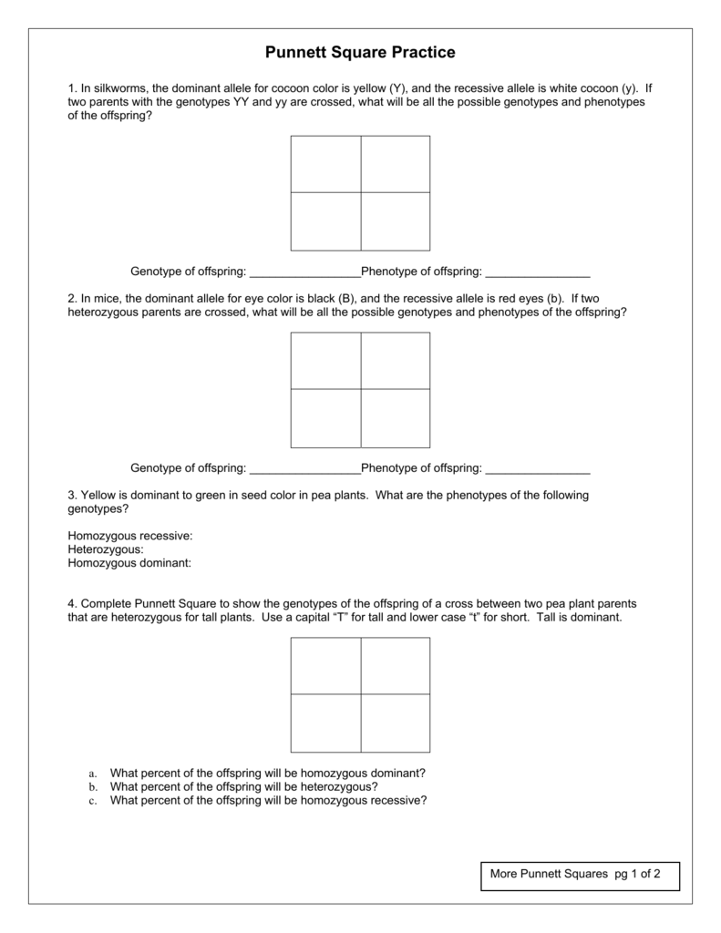 punnett square practice worksheet answers