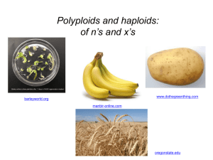 Polyploids and haploids