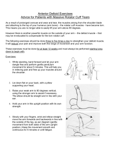 Anterior Deltoid Exercises Advice for Patients with Massive Rotator