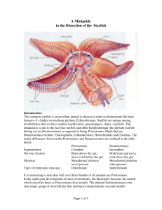 A Miniguide to the Dissection of the Starfish