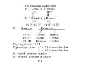 Sex-Influenced (Autosomes) P Horned x Hornless HH H'H' H      H' F