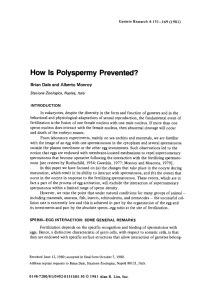How is polyspermy prevented?