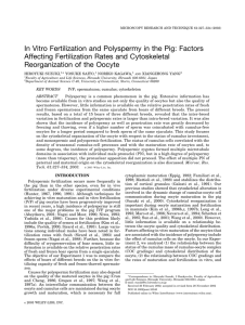 In Vitro Fertilization and Polyspermy in the Pig: Factors Affecting