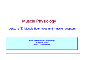 Fast fibers - Trinity College Dublin