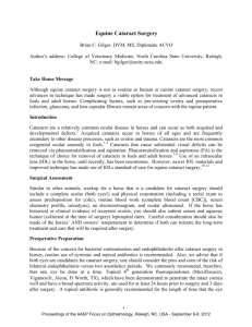 Equine Cataract Surgery. In: Proceedings of the AAEP Focus