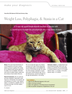 Weight Loss, Polyphagia, & Ataxia in a Cat