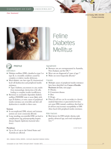 Feline Diabetes Mellitus