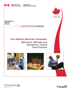 The Modern Mexican Consumer - Behaviour, Attitudes and