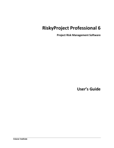 RiskyProject Professional User Guide