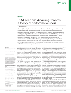 REM sleep and dreaming: towards a theory of protoconsciousness