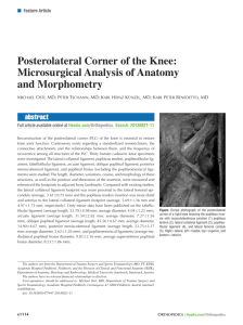 Posterolateral Corner of the Knee: Microsurgical Analysis of