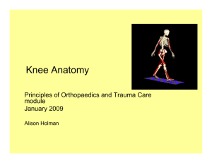 Knee anatomy (printable)