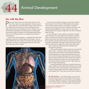 Chapter 44: Animal Development