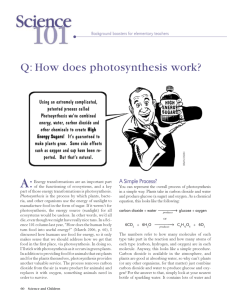 Q: How does photosynthesis work?