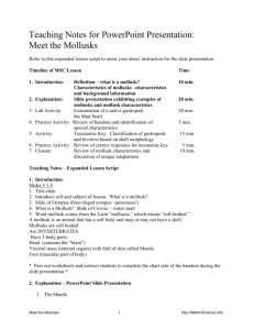 Meet the Mollusks - MathinScience.info