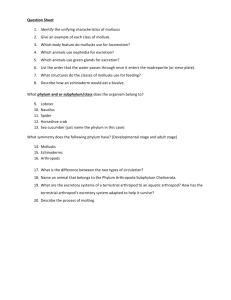 Question Sheet 1. Identify the unifying characteristics of molluscs 2