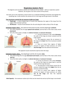 Respiratory System: Part 2 - SBI 3U