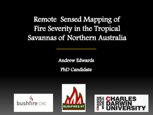 Remote Sensed Mapping of Fire Severity in the Tropical Savannas