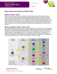 Stem Cells and Types of Stem Cells