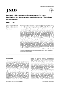 Analysis of Interactions Between the Codon±