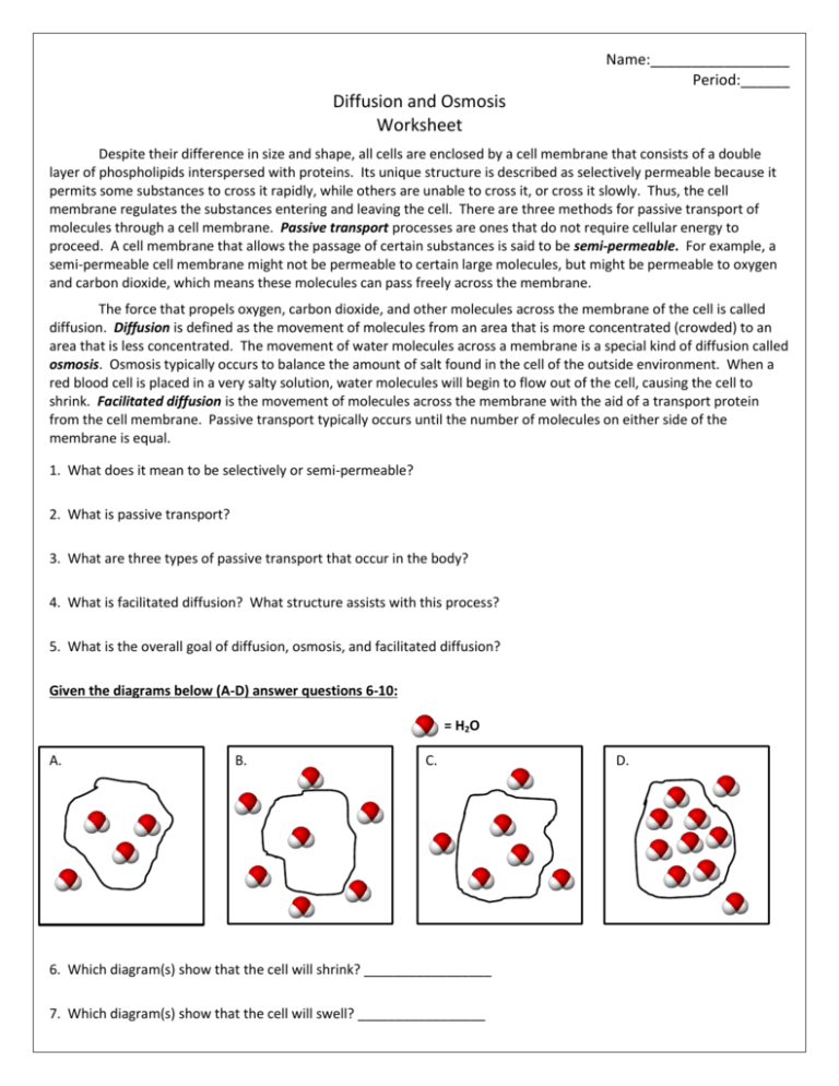 Osmosis And Diffusion Worksheets