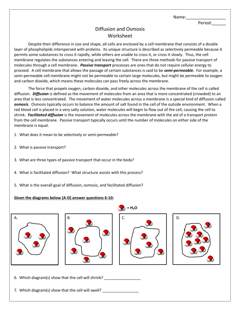 Diffusion and Osmosis Worksheet In Diffusion And Osmosis Worksheet Answers