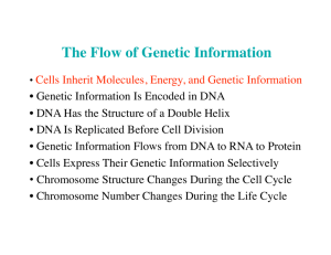 The Flow of Genetic Information