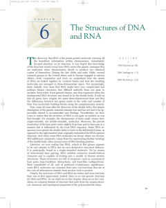 Chapter 6: The Structures of DNA and RNA