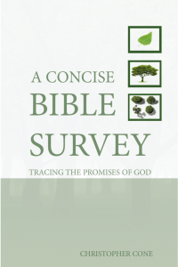 A Concise Bible Survey ebook