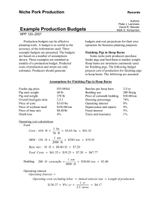 Example Production Budgets - Iowa Pork Industry Center