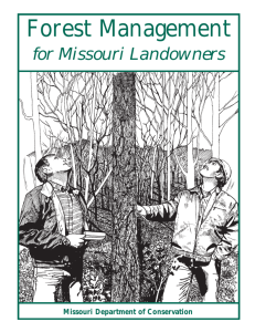 Forest Management for Missouri Landowners