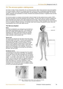 The Human Body - Background Notes 10-12