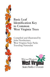 Leaf Identification - West Virginia State Parks