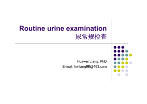 Routine urine examination 尿常规检查