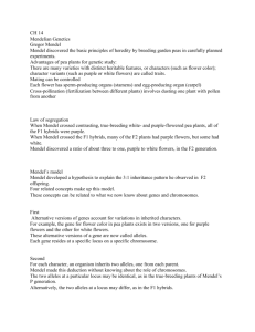 CH 14 Mendelian Genetics Gregor Mendel Mendel discovered the