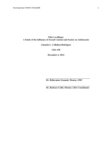 Who's to Blame: A Study of the Influence of Sexual Content and