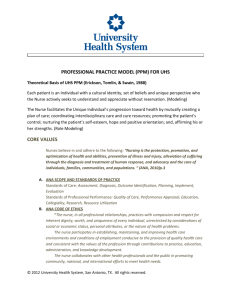 professional practice model (ppm)