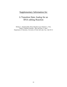 Supplementary Information for: A Transition State Analog for an RNA