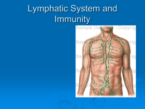 Lymphatic System and Immunity