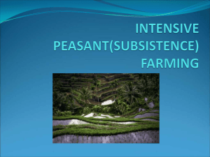 INTENSIVE PEASANT(SUBSISTENCE) FARMING