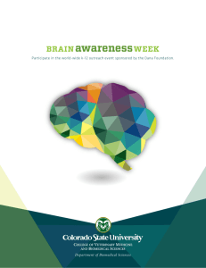 Brain Awareness Week - Colorado State University