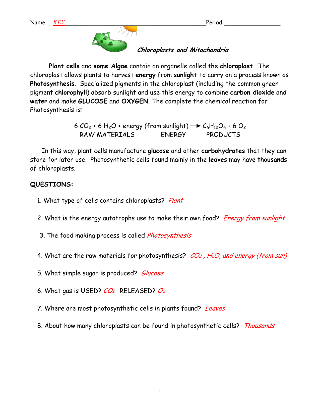 Chloroplasts And Mitochondria